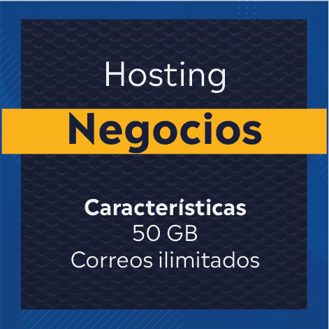 Hosting Plan Negocios